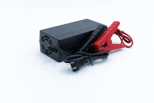 12v 10a Non Waterproof LiFePO4 Charger - Alligator Clips